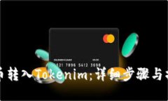 如何将币转入Tokenim：详细步骤与操作指南